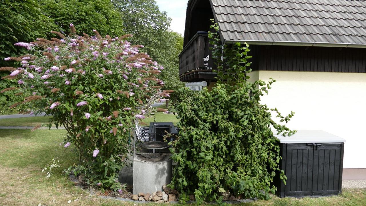 Frielendorf Helles Ferienhaus Im Landhausstil Fuer Bis Zu 10 Personen מראה חיצוני תמונה